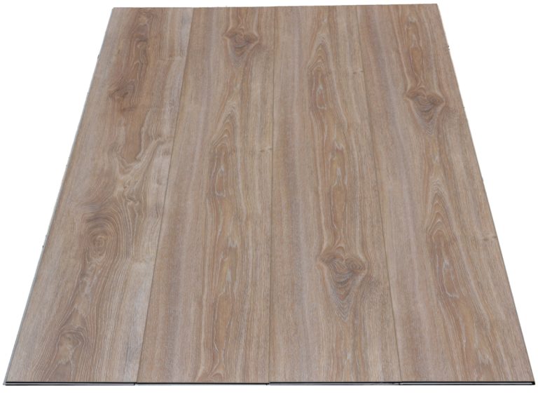 1 Silver Elm Resized