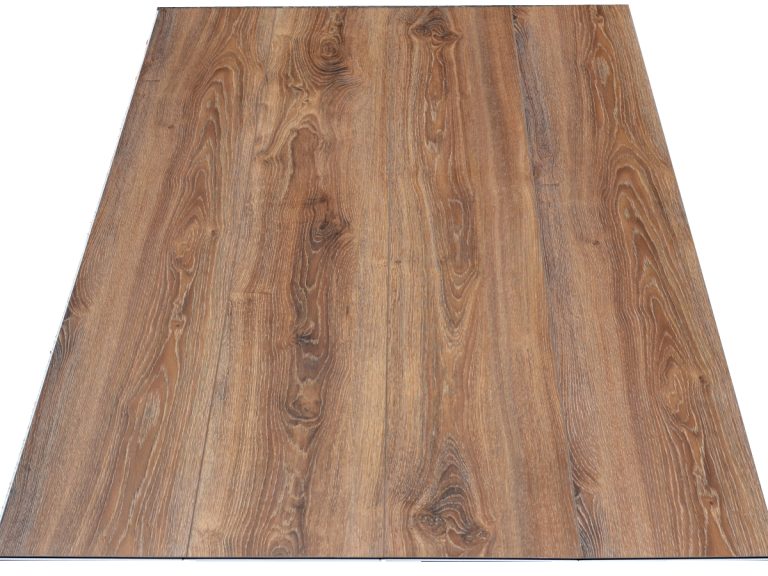 RELB9304 Souther Magnolia R1